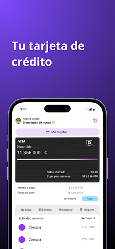 Idpay Screen 2