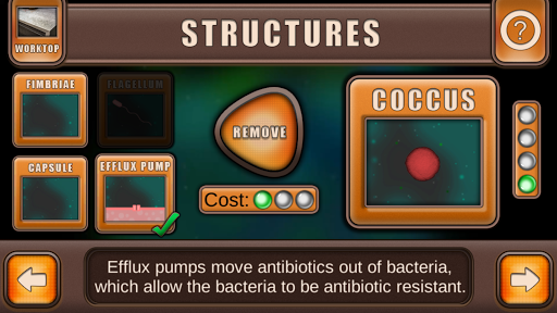 Android application Bacteria Builder screenshort