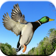 Top 27 Sports Apps Like Duck Hunting Calls - Best Alternatives