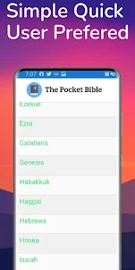 Pocket Bible