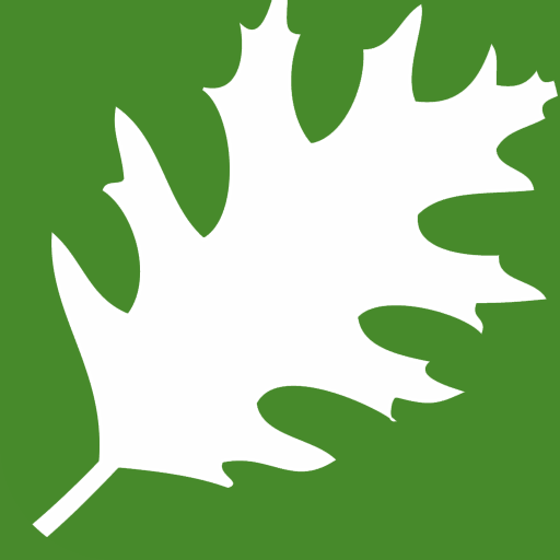 Relyance Bank logo
