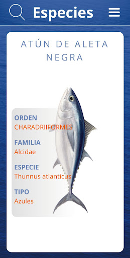 DEO Pesca Screen 3