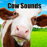 Cow Sounds icon