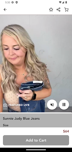 Screenshot of Ashley Hitt Boutique