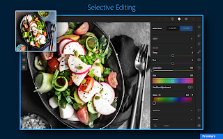 Adobe Lightroom: Photo Editor (Premium Unlocked) MOD APK 8.3.2  poster 14