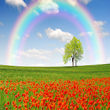 Rainbow Wallpapers icon
