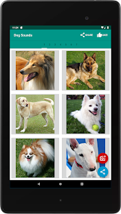 Dog Video Creator (Dog Sounds) スクリーンショット