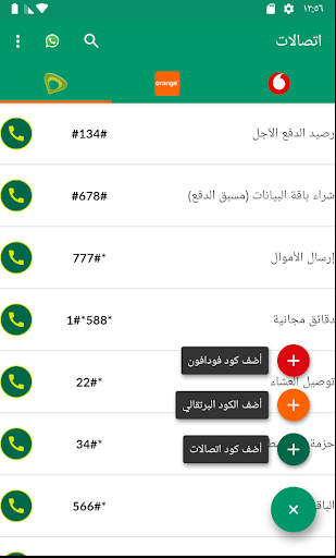 USSD Egypt Screen 3