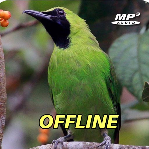 Cucak Ijo Gacor Dor Download on Windows