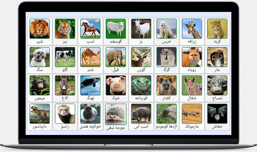 صدای پرندگان و حیوانات Screen 2