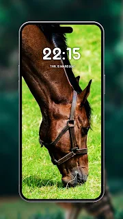 Horses Wild wallpapers