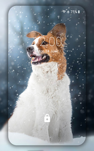 Android application Winter Wallpaper screenshort