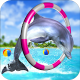 Dolphin Fun Game icon