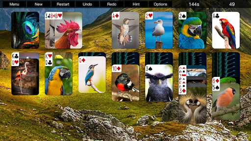 Animals Solitaire