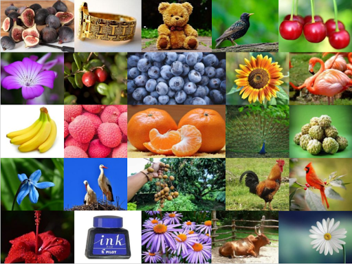 All In One Kids App ABCD Learning App For Children