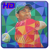 Tiger Woods Wallpapers HD icon