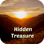 Hidden Treasures ebook