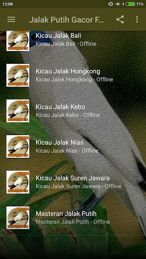 Jalak Putih Gacor Full Isian