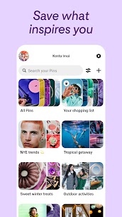 Pinterest Mod APK (Ads-Free) 3