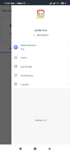 RedMart Delivery Boy