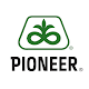 Pioneer Seeds Baixe no Windows