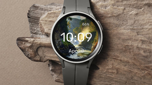 Screenshot image
