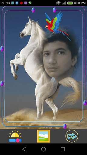 Horse Selfie Photo Frames