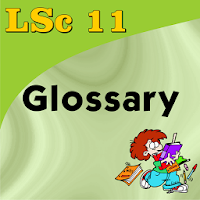 Life Sciences 11 Glossary