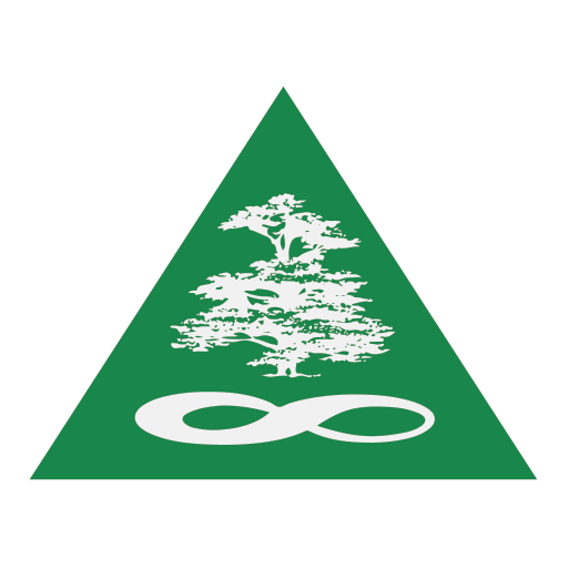 Enigma Flowers logo