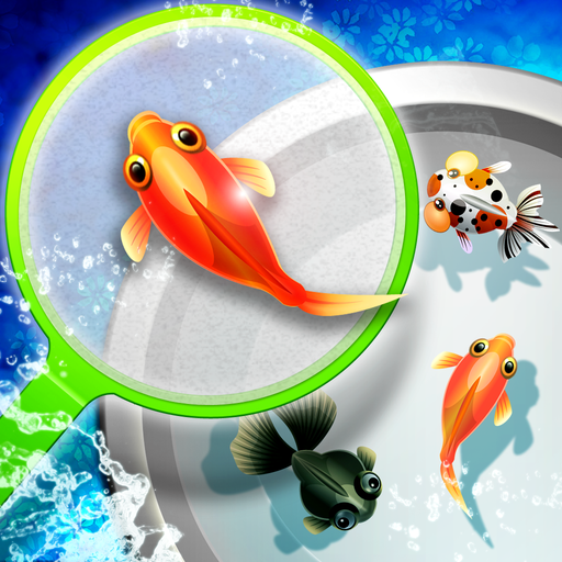 シン 金魚すくい屋 Google Play のアプリ