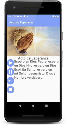 Vista previa de la aplicación