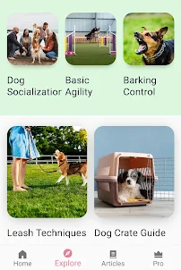 Puppy & Dog Training App