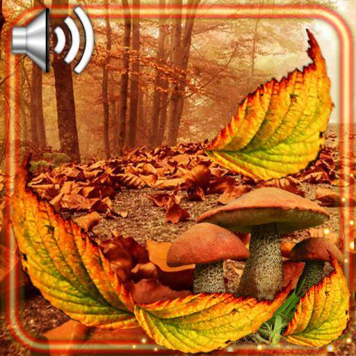 Autumn Fall Live Wallpaper