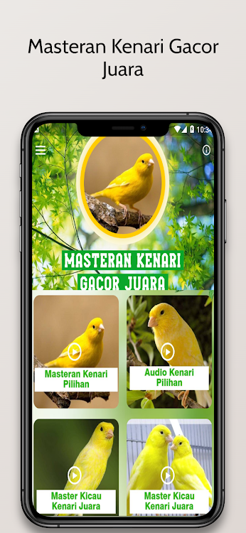 Masteran Kenari Gacor Juara - 3.3.4 - (Android)