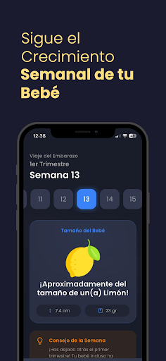 Vista previa de la aplicación