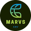 Marvs VPN icon