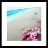 romantic beach livewallpaper icon
