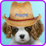 Sweet puppy live wallpaper icon