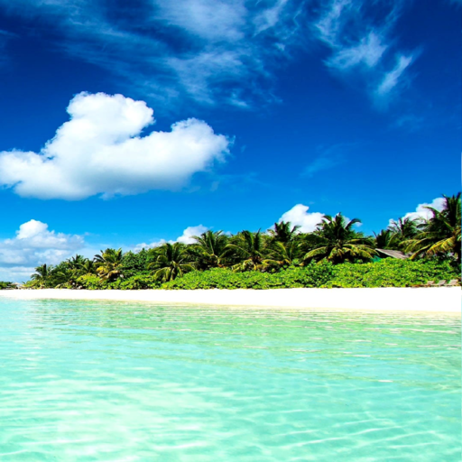 Beach Wallpapers Aesthetic HD logo