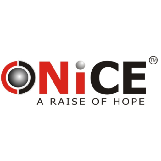 Nice Institute logo