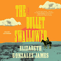 Icon image The Bullet Swallower: A Novel