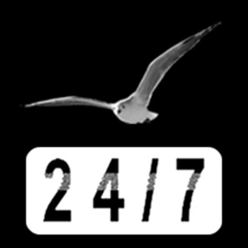 Feel Free 24/7 logo