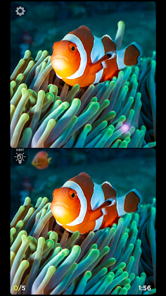 Spot The Difference: Fashion - Screenshot 1