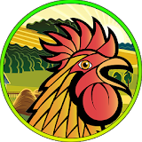 Rooster Fight Sim Multiplayer icon