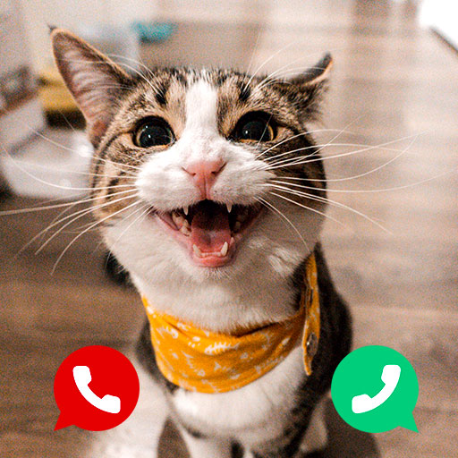 call kitty cat simulator prank