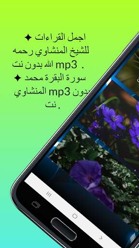 Surat Al-Baqarah for Reciter Muhammad Al-Minshawi