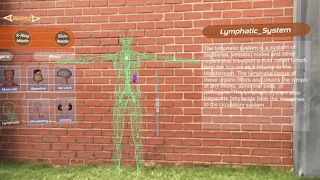 Human Anatomy VR AR MR App - Screenshot 3