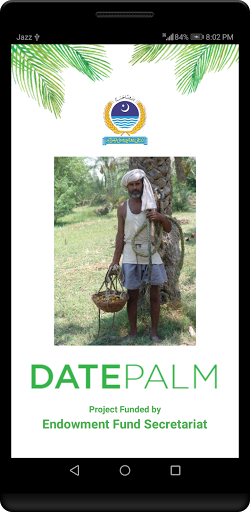 Date Palm