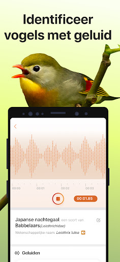 Picture Bird: Vogels Herkennen