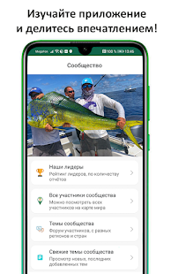 Клёвая рыбалка - сообщество Screenshot